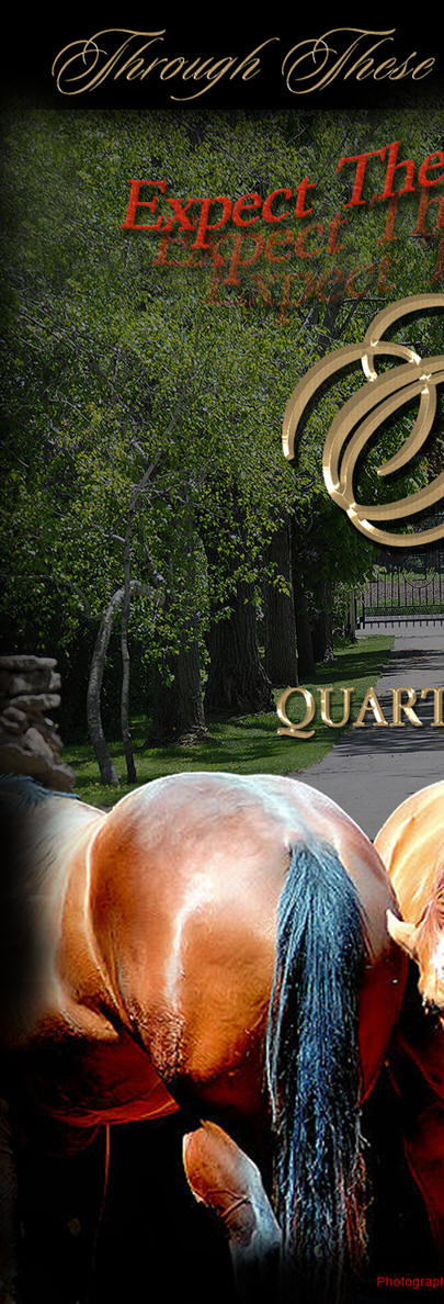  Ellis Quarter Horses, Expect the Exceptional!
