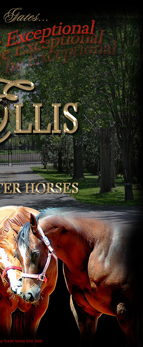 Ellis Quarter Horses, Expect the Exceptional!